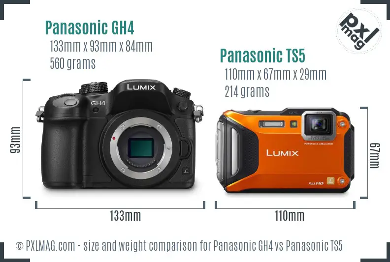Panasonic GH4 vs Panasonic TS5 size comparison
