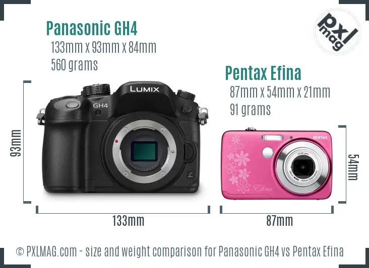 Panasonic GH4 vs Pentax Efina size comparison