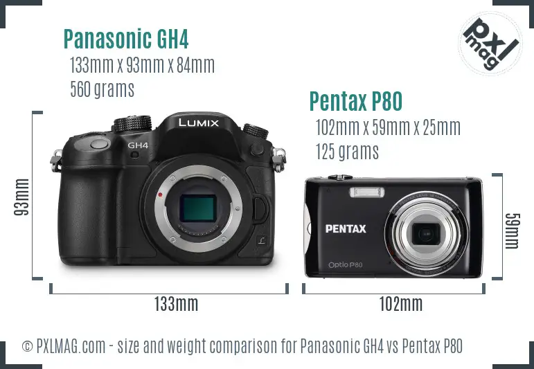 Panasonic GH4 vs Pentax P80 size comparison