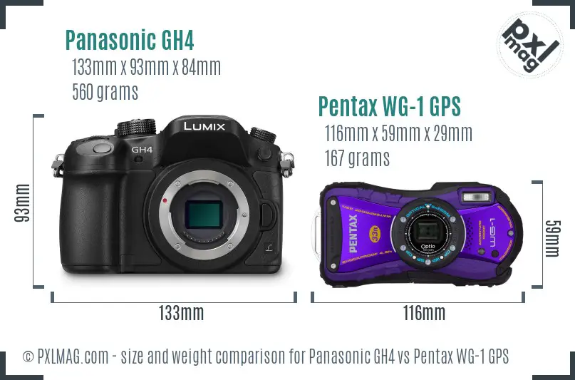 Panasonic GH4 vs Pentax WG-1 GPS size comparison
