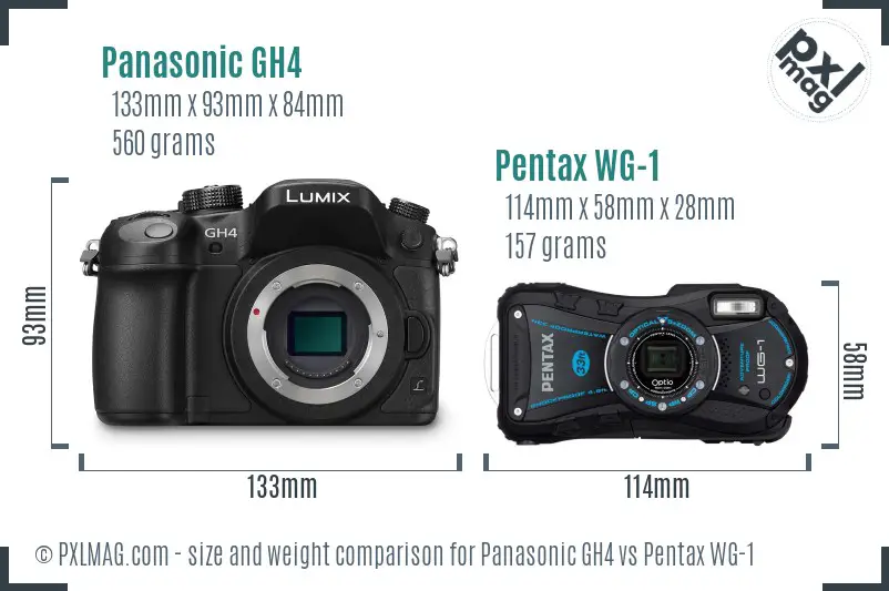 Panasonic GH4 vs Pentax WG-1 size comparison