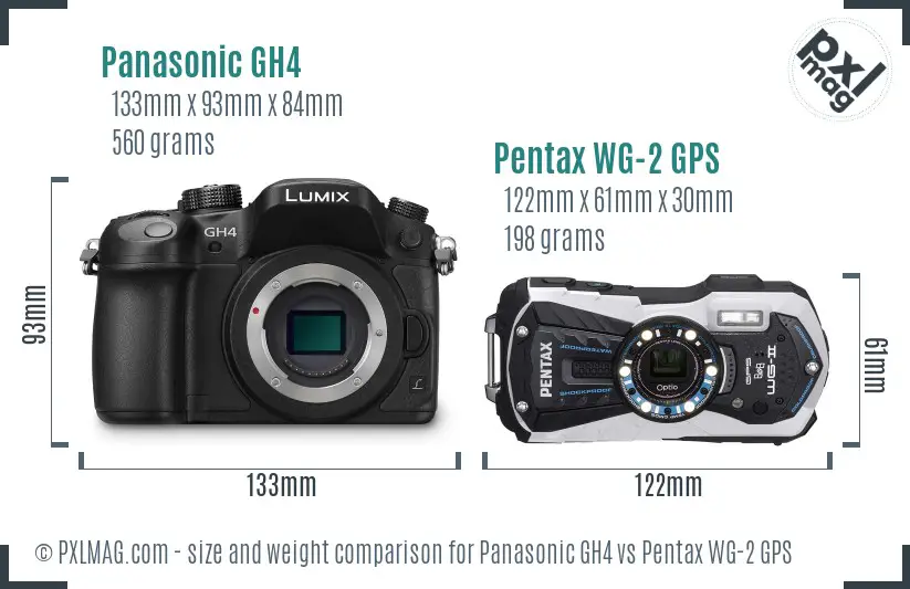 Panasonic GH4 vs Pentax WG-2 GPS size comparison