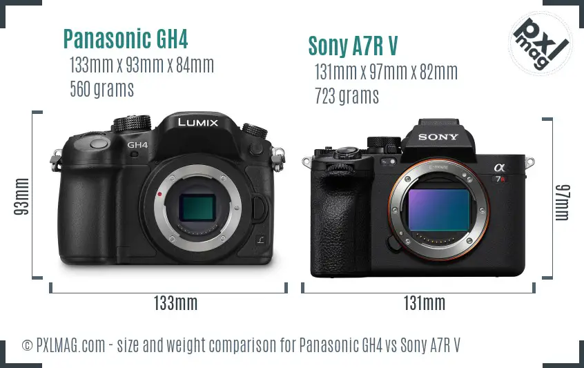 Panasonic GH4 vs Sony A7R V size comparison