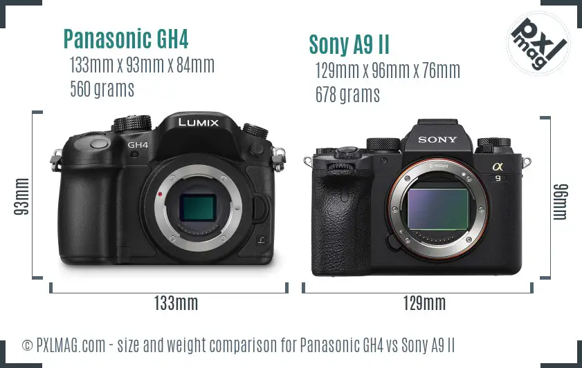 Panasonic GH4 vs Sony A9 II size comparison
