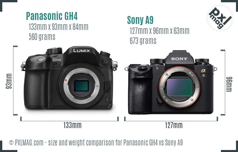 Panasonic GH4 vs Sony A9 size comparison