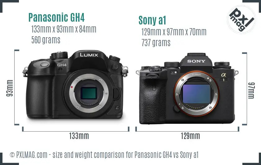 Panasonic GH4 vs Sony a1 size comparison