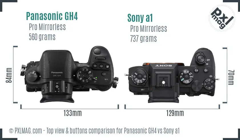 Panasonic GH4 vs Sony a1 top view buttons comparison