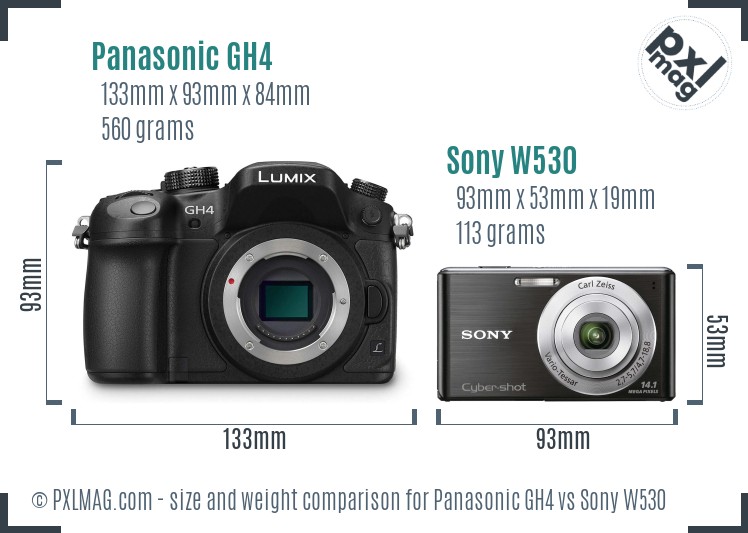 Panasonic GH4 vs Sony W530 size comparison