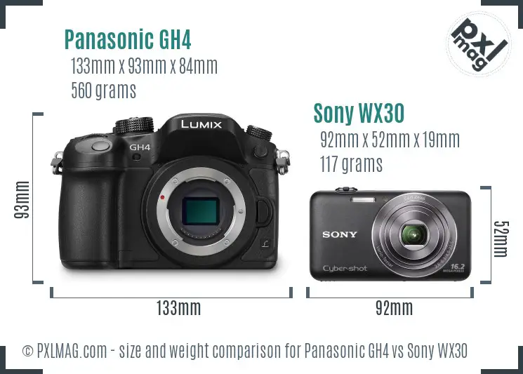 Panasonic GH4 vs Sony WX30 size comparison