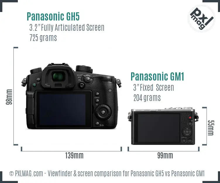 Panasonic GH5 vs Panasonic GM1 Screen and Viewfinder comparison