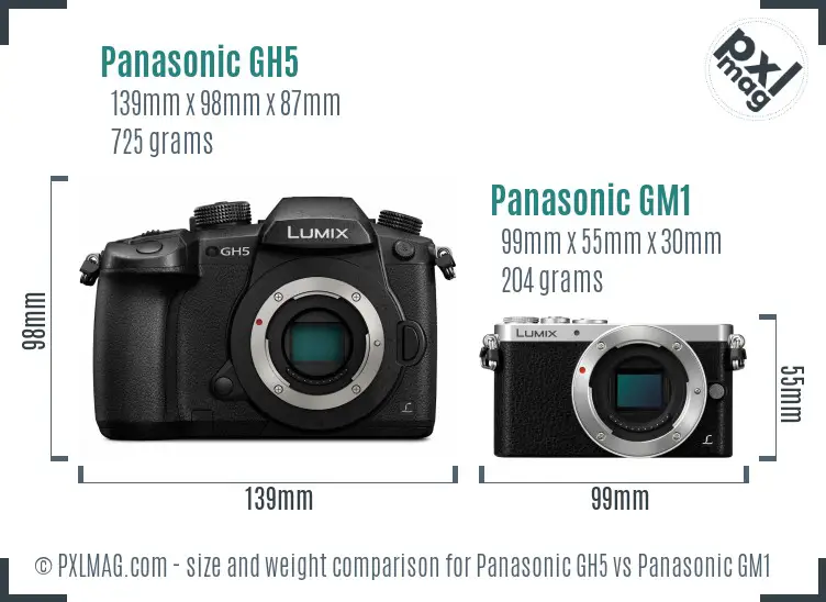 Panasonic GH5 vs Panasonic GM1 size comparison