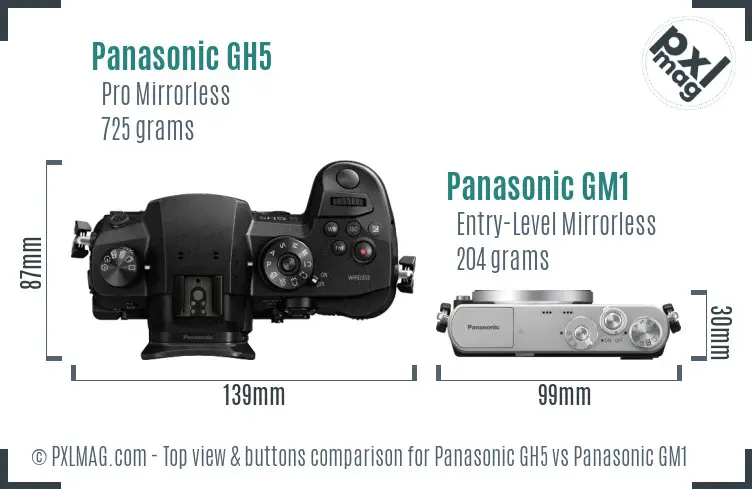 Panasonic GH5 vs Panasonic GM1 top view buttons comparison