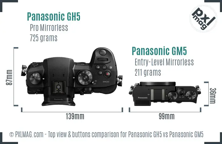 Panasonic GH5 vs Panasonic GM5 top view buttons comparison