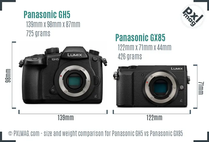 Panasonic GH5 vs Panasonic GX85 size comparison