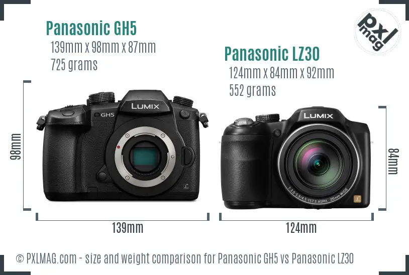 Panasonic GH5 vs Panasonic LZ30 size comparison