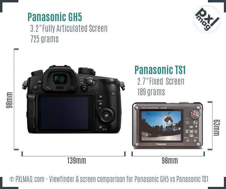 Panasonic GH5 vs Panasonic TS1 Screen and Viewfinder comparison