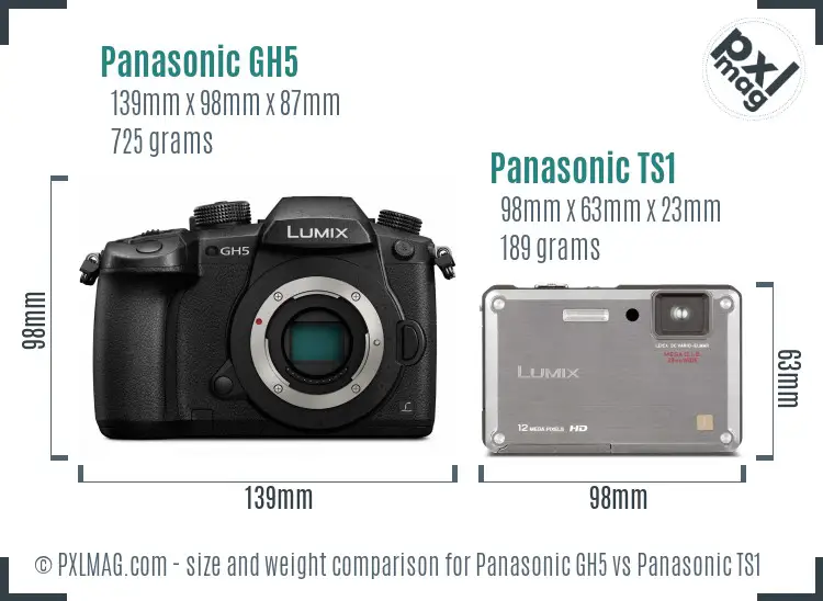 Panasonic GH5 vs Panasonic TS1 size comparison