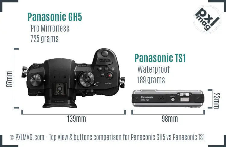 Panasonic GH5 vs Panasonic TS1 top view buttons comparison