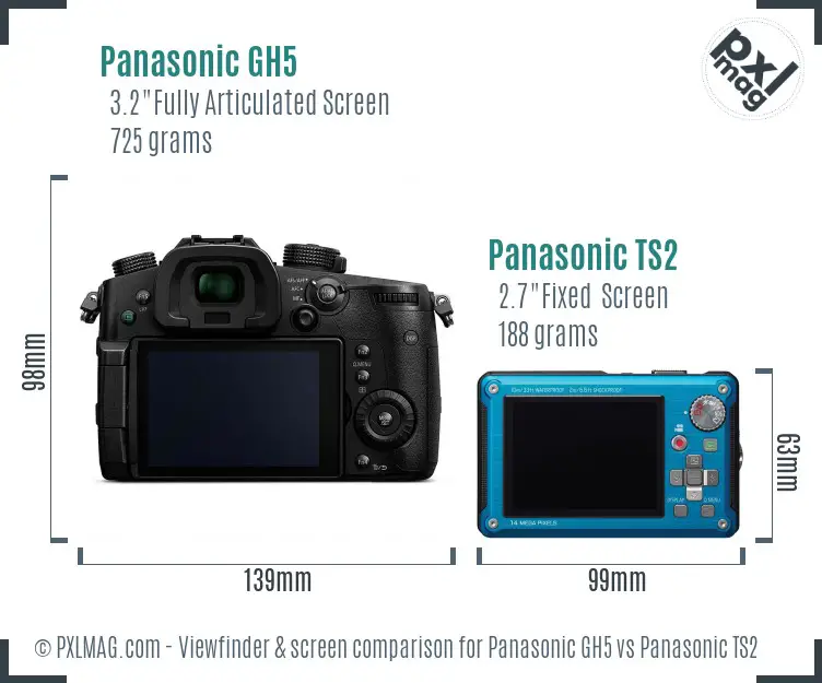 Panasonic GH5 vs Panasonic TS2 Screen and Viewfinder comparison