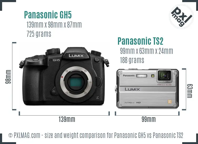 Panasonic GH5 vs Panasonic TS2 size comparison