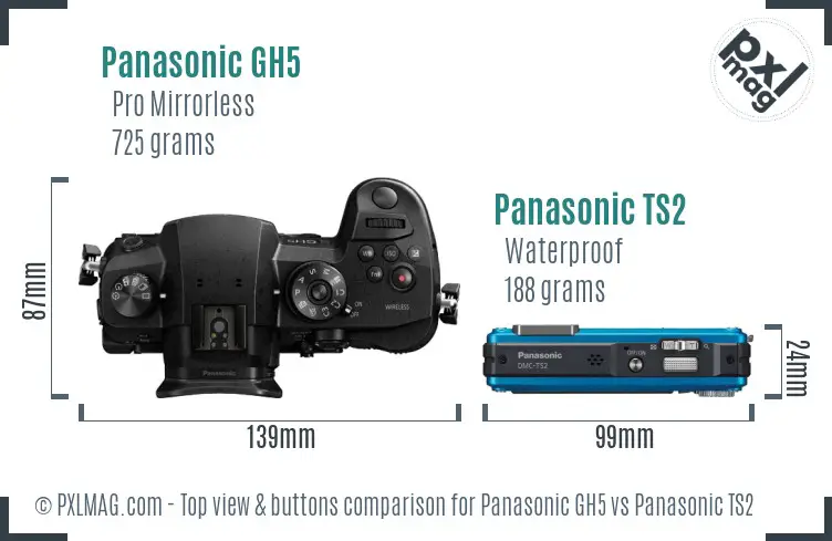 Panasonic GH5 vs Panasonic TS2 top view buttons comparison
