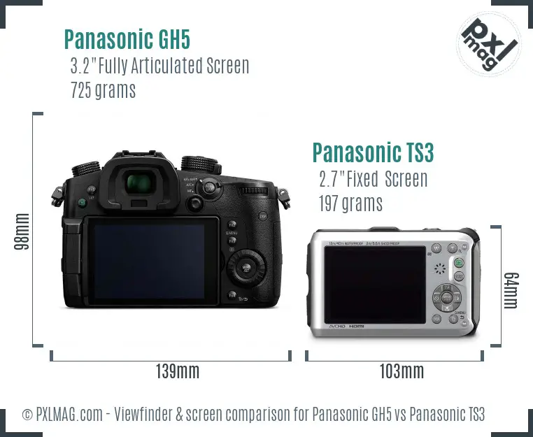 Panasonic GH5 vs Panasonic TS3 Screen and Viewfinder comparison