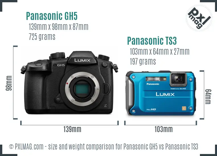 Panasonic GH5 vs Panasonic TS3 size comparison