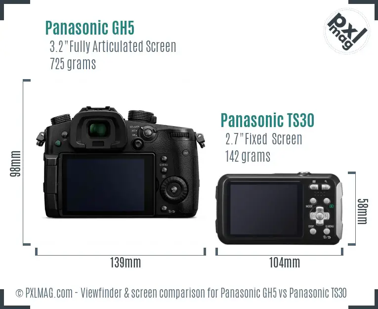 Panasonic GH5 vs Panasonic TS30 Screen and Viewfinder comparison