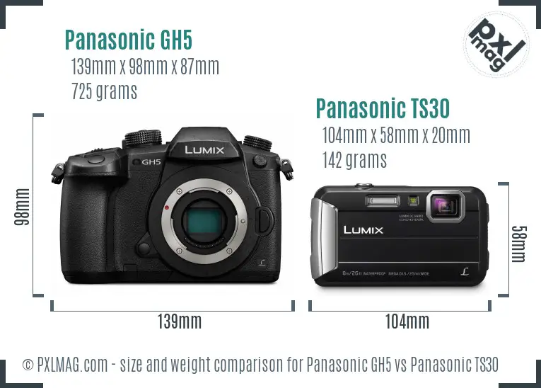 Panasonic GH5 vs Panasonic TS30 size comparison