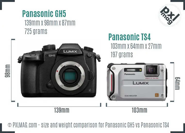 Panasonic GH5 vs Panasonic TS4 size comparison