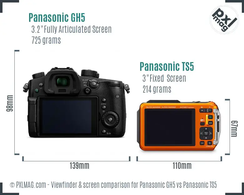Panasonic GH5 vs Panasonic TS5 Screen and Viewfinder comparison