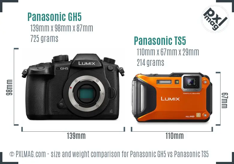 Panasonic GH5 vs Panasonic TS5 size comparison