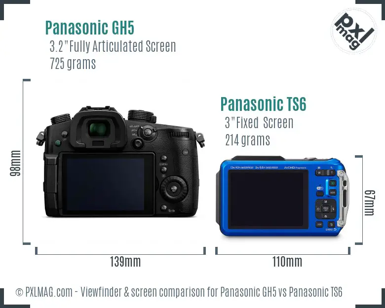 Panasonic GH5 vs Panasonic TS6 Screen and Viewfinder comparison
