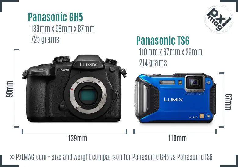 Panasonic GH5 vs Panasonic TS6 size comparison