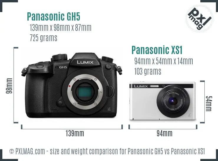 Panasonic GH5 vs Panasonic XS1 size comparison