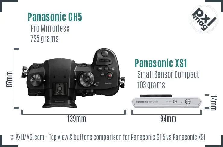 Panasonic GH5 vs Panasonic XS1 top view buttons comparison