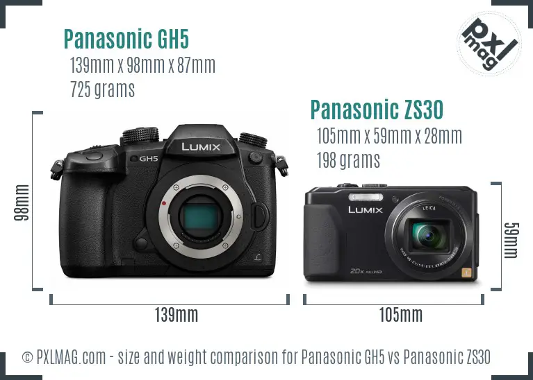 Panasonic GH5 vs Panasonic ZS30 size comparison