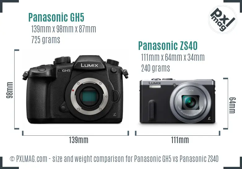 Panasonic GH5 vs Panasonic ZS40 size comparison