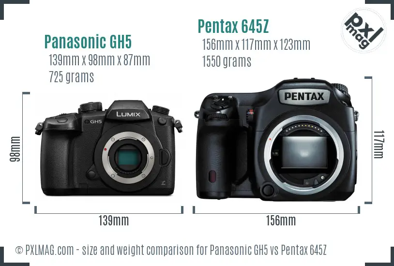 Panasonic GH5 vs Pentax 645Z size comparison