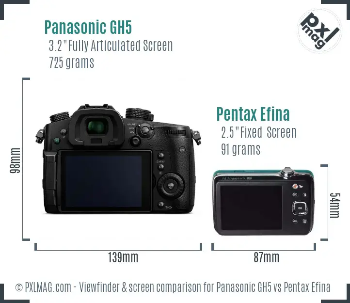 Panasonic GH5 vs Pentax Efina Screen and Viewfinder comparison
