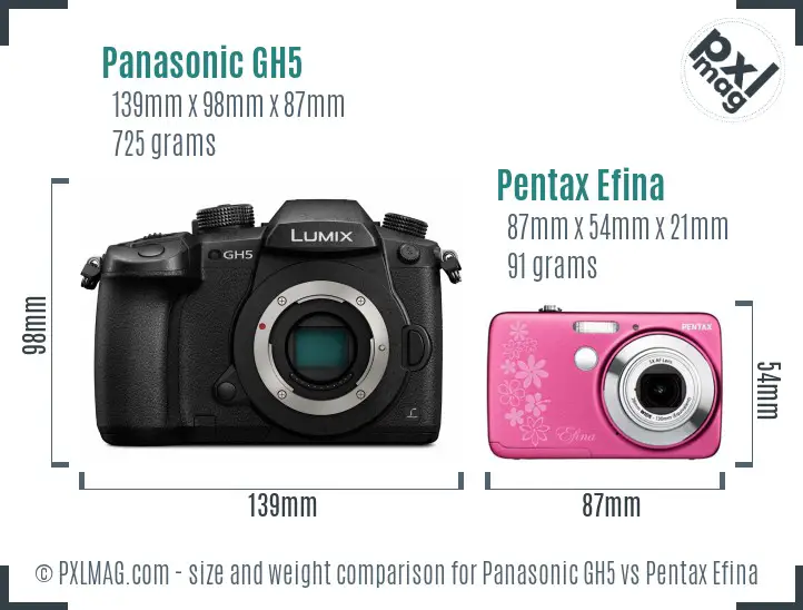 Panasonic GH5 vs Pentax Efina size comparison