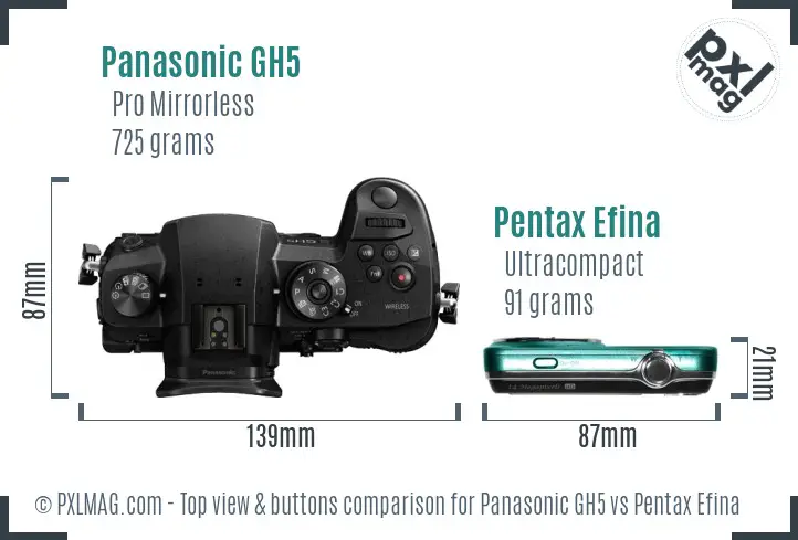 Panasonic GH5 vs Pentax Efina top view buttons comparison