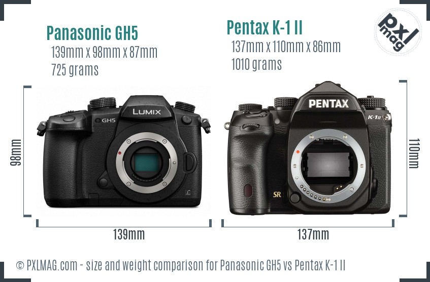 Panasonic GH5 vs Pentax K-1 II size comparison