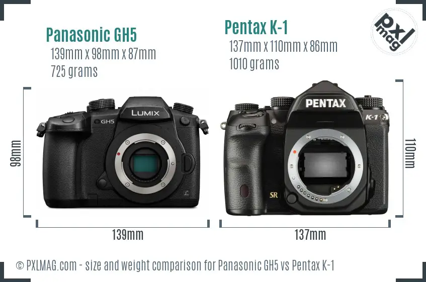 Panasonic GH5 vs Pentax K-1 size comparison