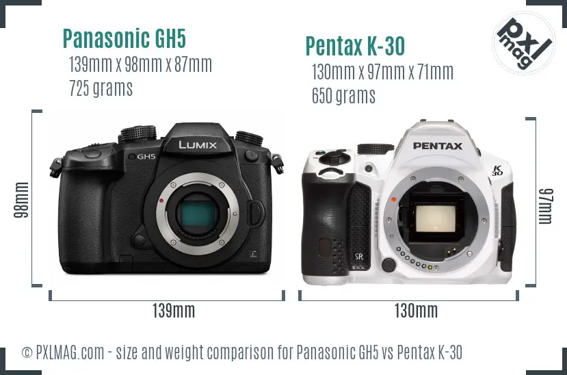 Panasonic GH5 vs Pentax K-30 size comparison