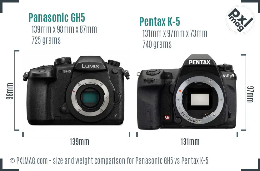 Panasonic GH5 vs Pentax K-5 size comparison