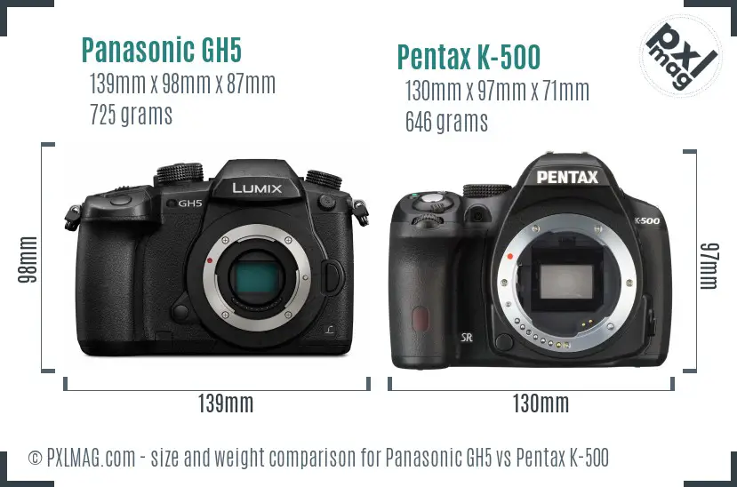 Panasonic GH5 vs Pentax K-500 size comparison