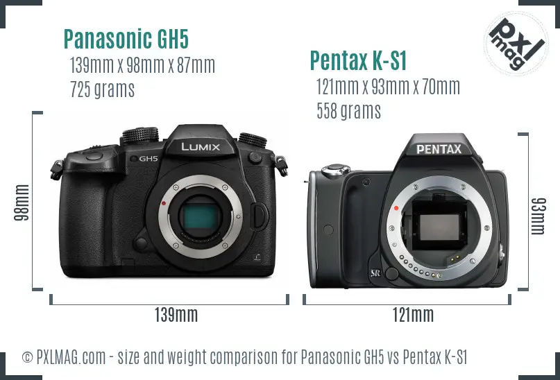 Panasonic GH5 vs Pentax K-S1 size comparison