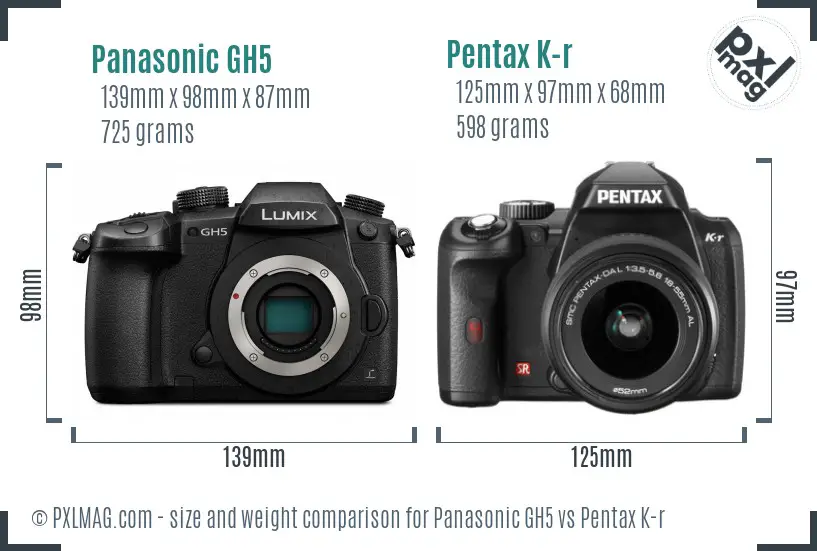 Panasonic GH5 vs Pentax K-r size comparison