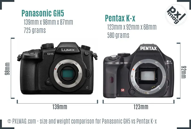Panasonic GH5 vs Pentax K-x size comparison